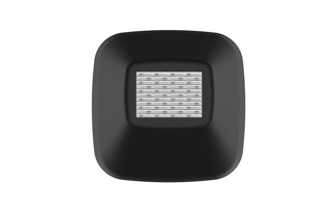 Reverso - 44 Pin